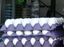 Insuficiente incremento salarial a trabajadores ante el alza de los productos de la canasta básica