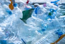 ¿Adiós a la basura? Descubren enzima que degrada plástico en un día