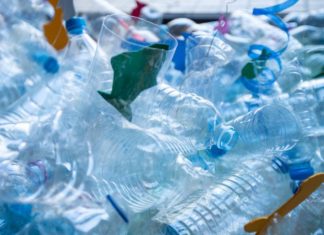 ¿Adiós a la basura? Descubren enzima que degrada plástico en un día