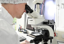 Desarrollan una nueva técnica basada en láser y ultrasonidos capaz de “vaporizar” las placas en las arterias