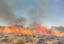 A la alza incendios en predios baldíos, pastizales y basureros