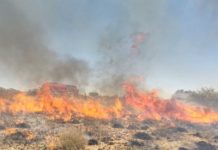 Bomberos siguen sofocando incendios en pastizales, predios y basura