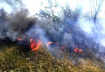Bomberos sofocan incendio de llantas y basura