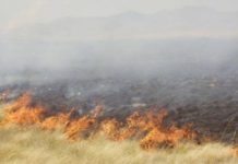 Bomberos sofocan incendio en pastizal