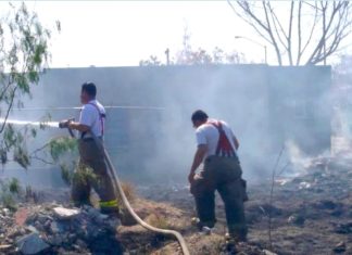 Bomberos sofocan incendio en pastizal