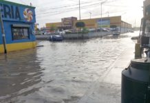 Exhortan no arrojar basura a la vía pública para evitar inundaciones