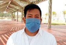 Detectan enjambres de abejas en Playa Miramar, exhortan a visitantes no molestarlas