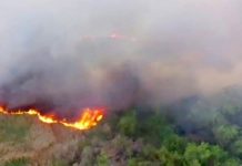Bomberos sofocan incendios en pastizales
