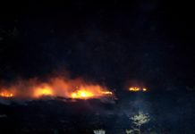 Bomberos sofocan incendio en pastizal