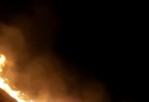 Bomberos sofocan incendios en pastizales