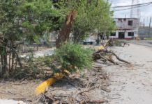 Plaza Garibaldi en “Centralito” en el abandono