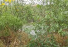 Rescatan cadáver de menor en las aguas del río Bravo