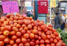 Carestía; ahora el tomate, llega a 40 pesos el kilo