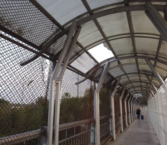 Solicitan mejoras en accesos de puentes internacionales