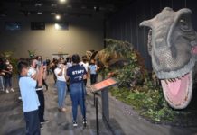 Vuelve a Tamaulipas la exposición itinerante “Tierra de Dinosaurios”