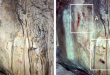 Descubren que los neandertales y los ‘Homos sapiens’ prehistóricos usaron la cueva de Ardales, en España, durante 60.000 años para desarrollar su arte