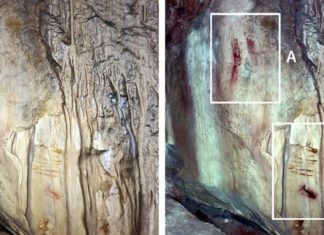 Descubren que los neandertales y los ‘Homos sapiens’ prehistóricos usaron la cueva de Ardales, en España, durante 60.000 años para desarrollar su arte