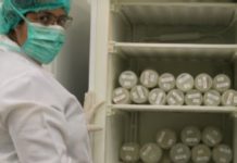 Lactancia va a la baja; fomentan la creación de bancos de leche materna