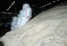 Arriban primeros embarques de sulfato de amonio; impactan a la baja en 30% precio del fertilizante