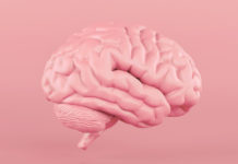 Descubren que el cerebro humano sano alcanza temperaturas más altas de lo que se sospechaba