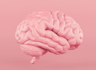 Descubren que el cerebro humano sano alcanza temperaturas más altas de lo que se sospechaba