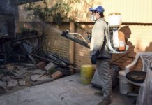 Para el combate al dengue Tamaulipas no solo se coordinarían con Veracruz sino con otras entidades