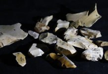 Descubren que los homínidos antiguos domesticaron el fuego hace al menos 800.000 años