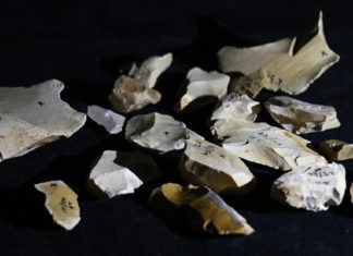 Descubren que los homínidos antiguos domesticaron el fuego hace al menos 800.000 años