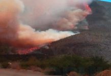 Cifra de incendios supera a los del año anterior