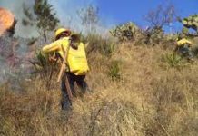 Incendios “prenden” la sierra de Villa de Casas, Jaumave y Tula