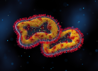 OMS reporta 780 casos de viruela del mono, ¿cómo se contagia?