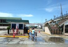 Podría instalarse un acuario en el puerto de Tampico