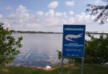 Bomberos no encontraron nada, presuntamente hombre se aventó a la laguna del Carpintero