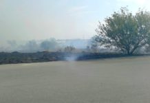 Bomberos sofocan incendio en pastizal