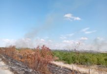 Bomberos sofocan incendio en pastizal