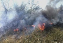 Bomberos sofocan incendios en dos predios con pastizal