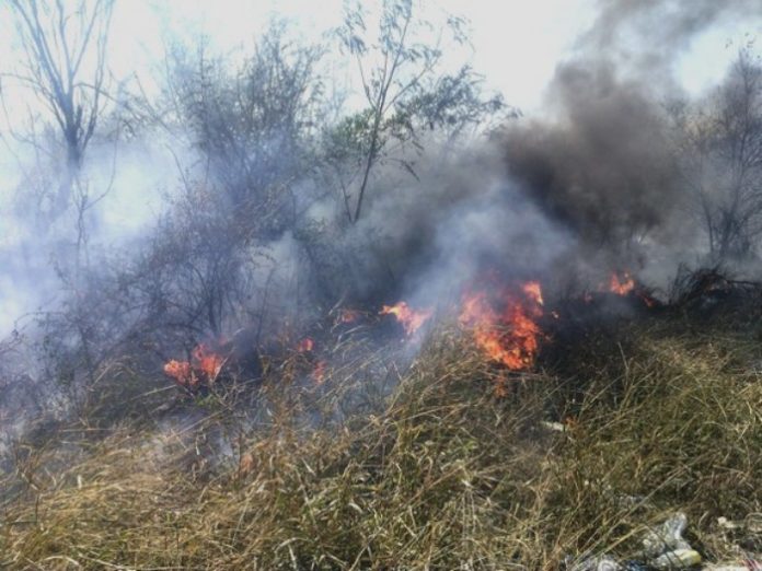 Bomberos sofocan incendios en dos predios