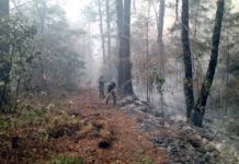 Pese a incendios, la gente no dejó de ir a “El Cielo”