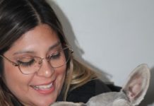 Cuidar de mascotas ante ola de calor