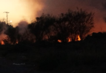 Bomberos sofocan incendios en pastizales