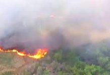 Bomberos sofocan incendios en predios baldíos y pastizales