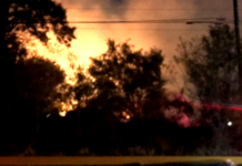 Bomberos sofocan incendio en predio baldío