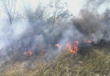 Bomberos siguen sofocando incendios en predios baldíos