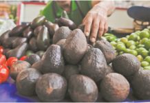 Papa cara y el aguacate también