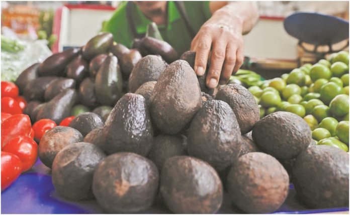 aguacate