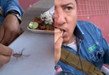 ¿Viagra mexicano? Electricista presume un taco de birria con ¡un alacrán vivo!