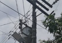 Familias y comercios de la zona centro afectados por mega corte de luz