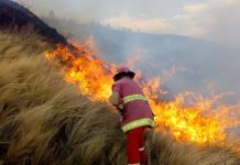 Lleva más de una semana incendio en Miquihuana