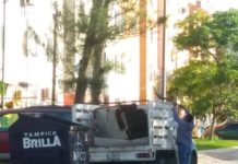 Llaman a no tirar colchones ni muebles en la vía pública