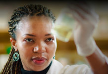 Una serie de reacciones químicas podrían explicar cómo surgió la vida en la Tierra